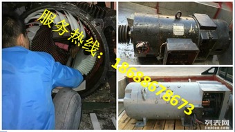 國產直流電機轉子維修