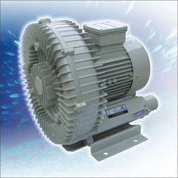 陸揚(yáng)鼓風(fēng)機(jī)維修與昆山電機(jī)維修廠(chǎng)的直流電機(jī)維修服務(wù)